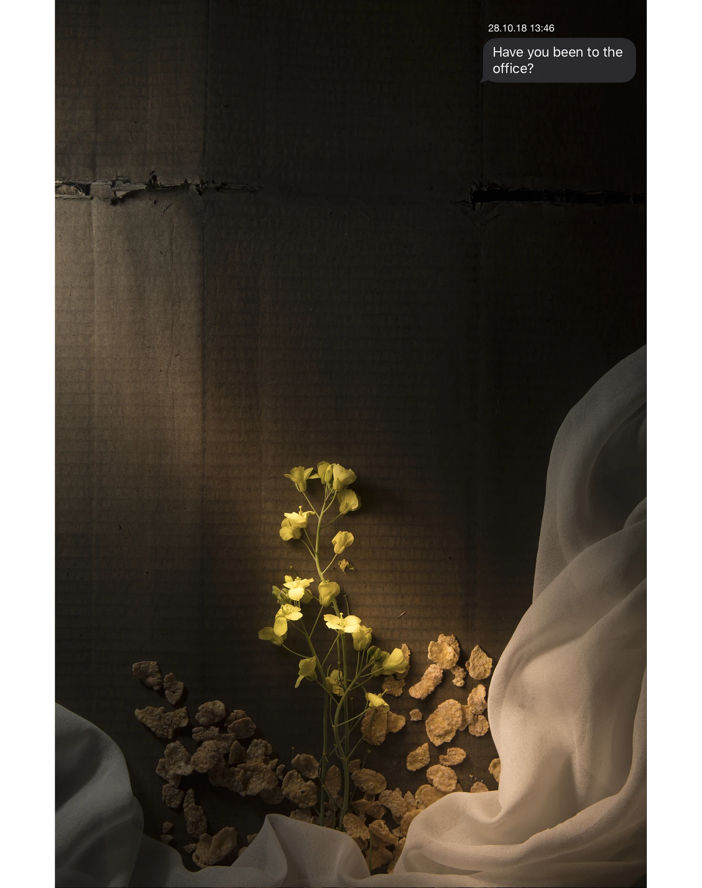 Flowery and innocent